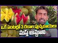 Farmer Cultivating 3 Different Types Of Watermelon And Getting Huge Profits | V6 News
