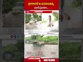 హైదరాబాద్ ను భయపెడుతున్న మూసీ ప్రవాహం #musiriver #floods #heavyrain #ytshorts #abn