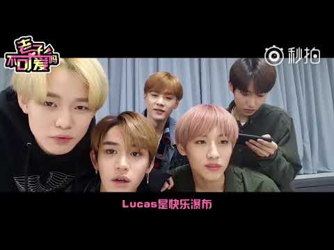 【偶像组合的中文直播】爱豆全场说中文的直播,我怎么就那么喜欢看呢