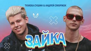 Тимоха Сушин & Андрей Сморжок — Зайка (official audio)