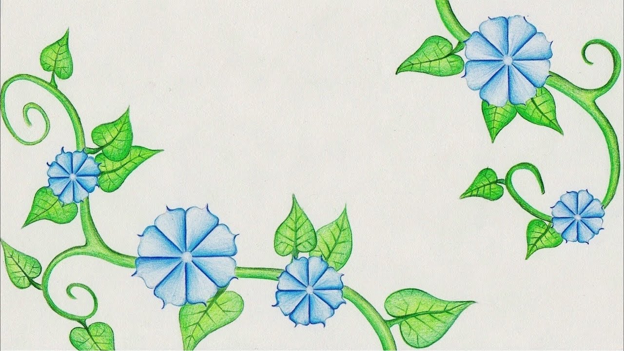 Flower drawing (Morning Glory) Time Lapse! - YouTube
