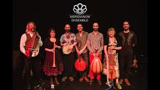 Meridianum Ensemble - Introducing the Meridianum Ensemble