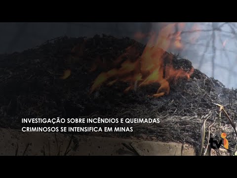 Vídeo: Investigação sobre incêndios e queimadas criminosos se intensifica em Minas