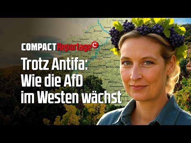 Das ist die AfD-Hochburg im Westen!