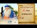 قصص الحيوان في القرآن الحلقة 12