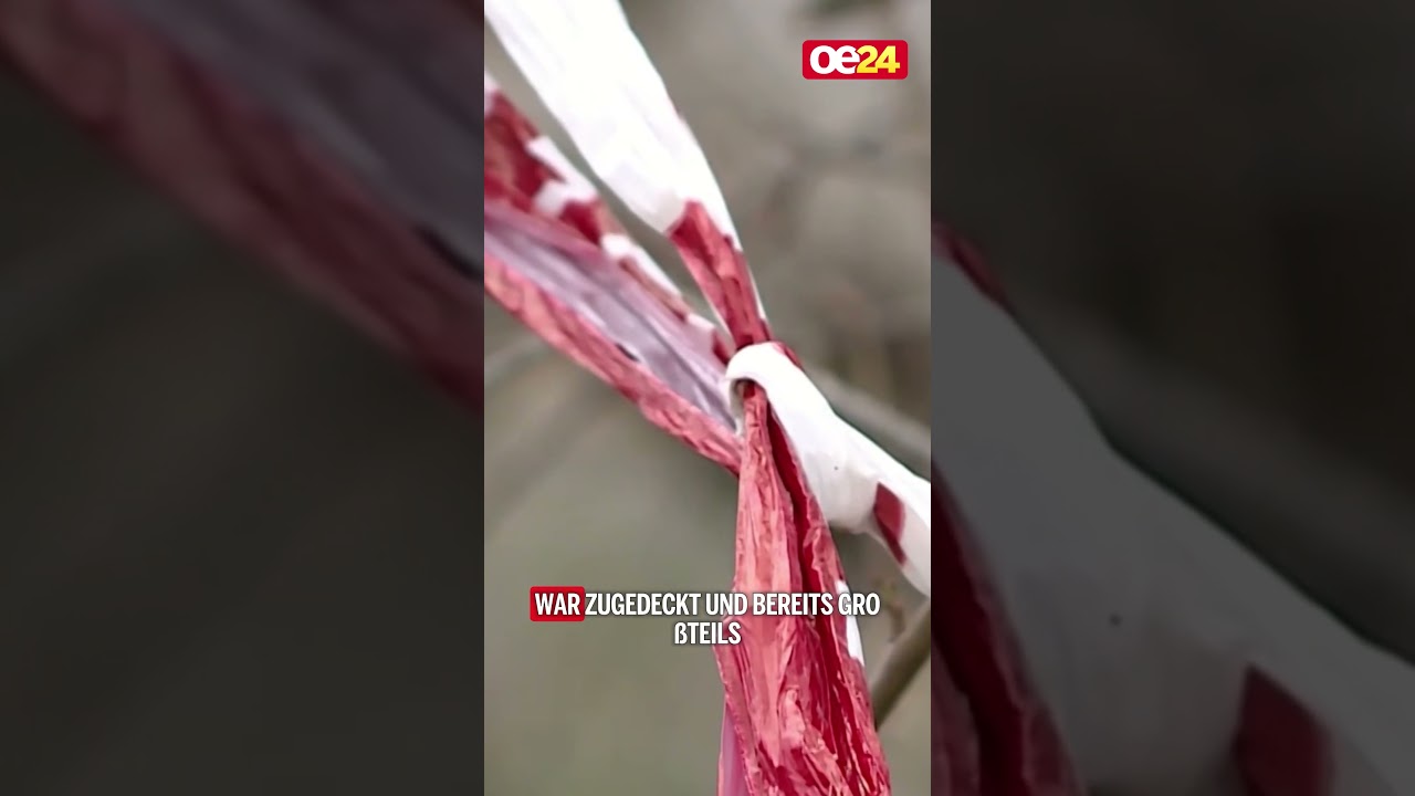 Hunde-Besitzer entdeckte Frauenleiche in Erdgrube