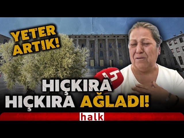 "YETER ARTIK!" Zeytinler için açlık grevine başlayan yaşlı çiftçi hıçkıra hıçkıra ağladı!
