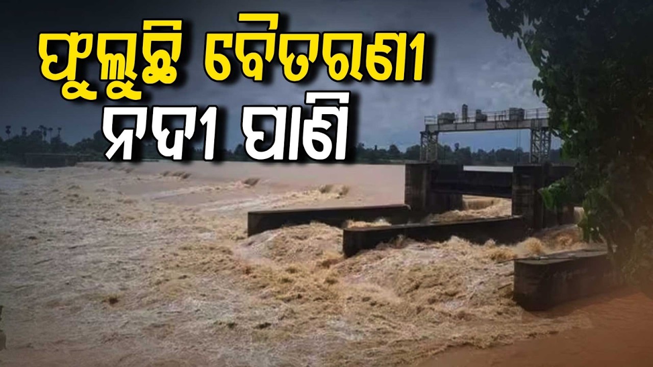 ଫୁଲୁଛି ବୈତରଣୀ ନଦୀ | Baitarani & Salandi Cross Danger Marks: Bridges Submerged in Bhadrak |Argus News