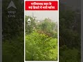 गाजियाबाद शहर के कई हिस्सों में भारी बारिश | #shorts  - 00:45 min - News - Video