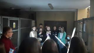 Miniatura video