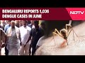 Dengue In Bengaluru | Dengue Spreads In Bengaluru, Over 1,000 Cases Recorded In June