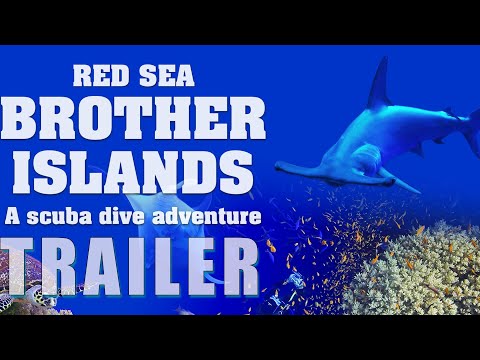 Red Sea: Brother Islands, a Scuba Dive Adventure'