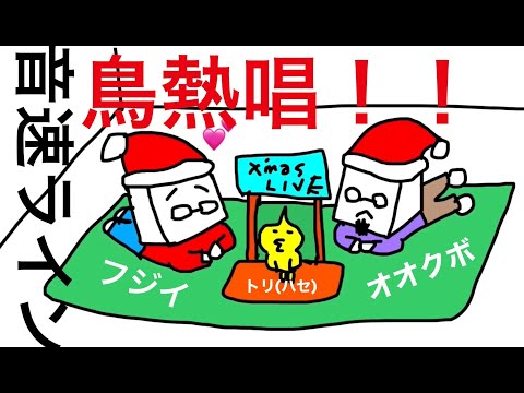 音速ラインのSOCIAL DISTORTION「メリークリスマス、鳥熱唱!」