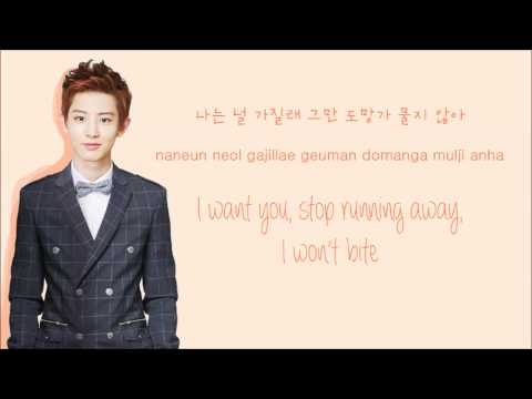 EXO-K - Let Out the Beast (Color Coded Hangul/Rom/Eng Lyrics)