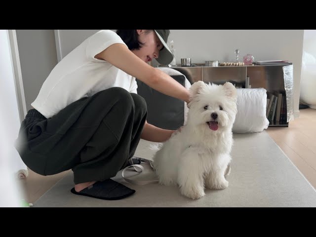 나도 여기서 살래(살구 입양일기)