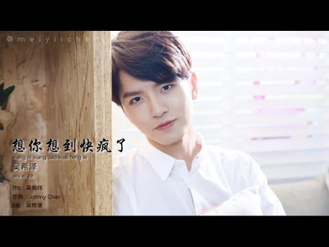 Meteor Garden 流星花园 2018 - 想你想到快疯了 - 吴希泽 Caesar Wu - 歌词 (Going Crazy Thinking About You)