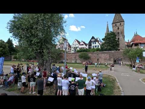 Landesposaunentag 2025 - 101 - Brassmob Donauwiese - Teil 1