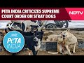 SC On Dogs | PETA India Criticizes Supreme Court Order On Stray Dogs, Calls It Inhumane and Illegal