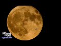 You won’t want to miss the biggest supermoons of August! | Nightly News: Kids Edition