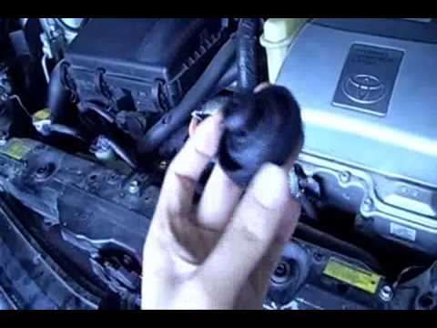 change transaxle fluid toyota prius #7