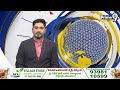 రేవంత్ పొట్టోడు కానీ చాలా గట్టోడు | Thummala Nageswara Rao Comments | Prime9 News  - 01:37 min - News - Video