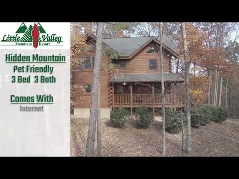 Property video