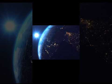 So many animals cut 🥩?!?