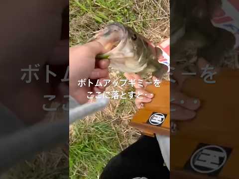ボトムアップギミーをここに落とすと‥