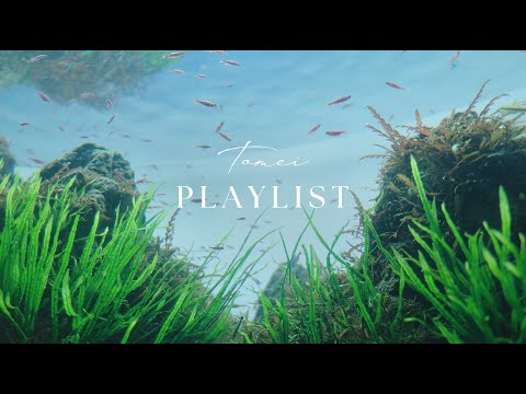 ［Playlist］水の中で待ってるね。