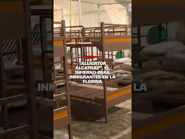 “Alligator Alcatraz”, el infierno para inmigrantes en medio de un paraíso ecológico en Florida