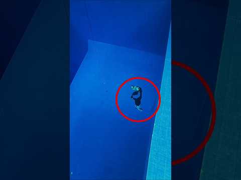 Attempting to conquer the deepest swimming pool in Southeast Asia.😱