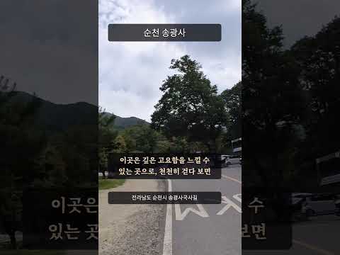 순천 송광사 | 조계산 깊은 숲속에 자리한 한국의 대표 승보사찰