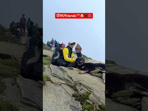 दोस्त खरीदे नहीं बनाये जाते हैं🐕🦺🐶❤️ #shorts #ytshorts #voiceforvoiceless #bezubaanjaan #animals