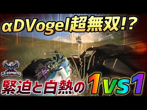 【荒野行動】無双するαDVogel...そしてラストは緊張の1vs１で白熱する。