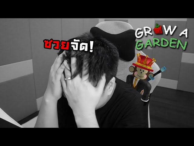 ผมโดนเกมปลูกสวนหักหลังครับ l Grow a Garden Roblox