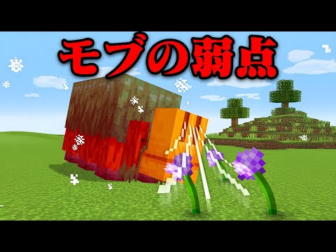 モブの弱点の真実を検証するマインクラフト【まいくら・マインクラフト】