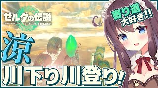 【ティアキン】発見だらけの寄り道大好き！初見【ゼルダの伝説ティアーズオブザキングダム 女性実況 Vtuber なちゅモカ】120