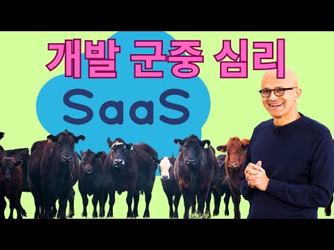 개발 군중 심리가 위험한 이유 (SaaS의 눈속임, 대체 예정?)