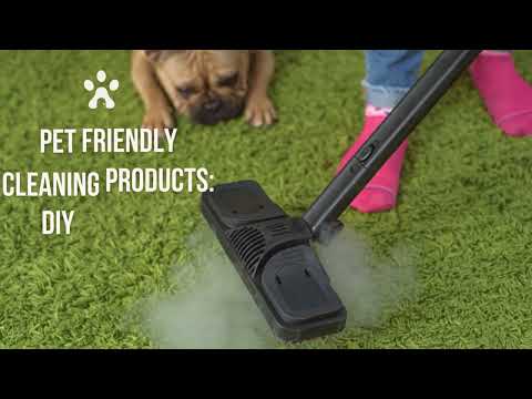 Pet Friendly Cleaning Products: DIY Pet-Safe Cleaning