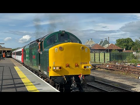 Rail Operations Group 37608 powers up out of Dereham heading for Wymondham 27/5/24