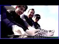 How satellite trackers are helping endangered sea turtles | REUTERS  - 02:29 min - News - Video