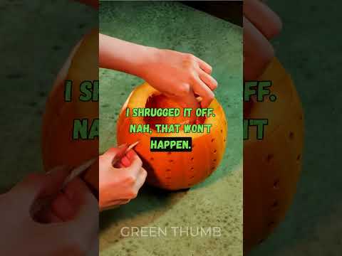 She Warned Me I’d Regret Dating Her… I Did 😳 #AskRedditStory