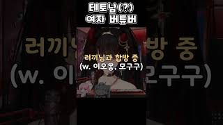 테토남 여자 버튜버