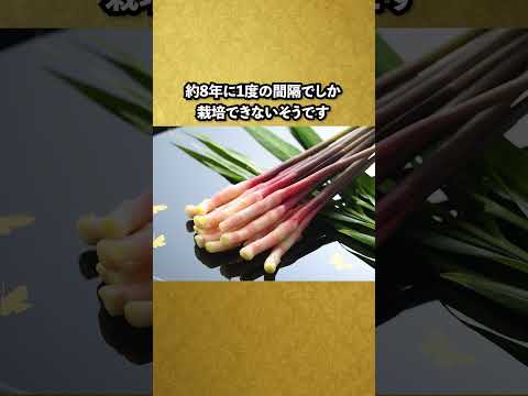主役の座を奪えるほど美味しい矢生姜 #雑学 #豆知識 #グルメ