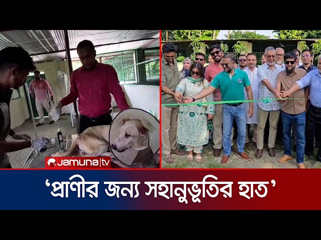 সাভারে প্রাণীর জন্য দক্ষিণ এশিয়ার প্রথম কেনাইন ক্যান্সার চিকিৎসাকেন্দ্র | Dog treatment | Jamuna TV
