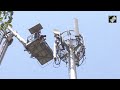 Punjab News | Man Climbs Atop Mobile Tower In Chandigarh, Demands Meeting With Bhagwant Mann  - 03:15 min - News - Video