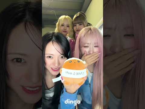 메이딘도 숭이코어 유행 탑승🙊 ㅣ 대기실 ASMR MADIEN (메이딘) 편