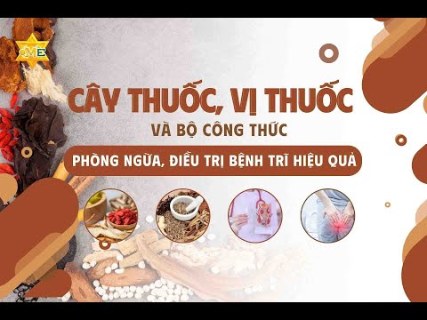 Khóa học Một số cây thuốc, vị thuốc điều trị trĩ hiệu quả