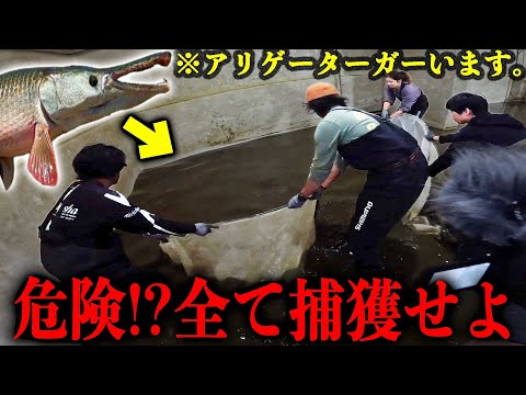 【超危険】５００トン水槽のアリーゲーターガーを全て捕獲せよ！【５００トン水槽の水ぜんぶ抜きます！in 宮古島#4】