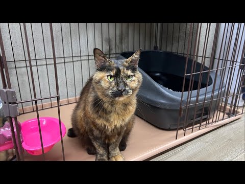 Sabi's treatment is finished and her mother will pick her up tomorrow!